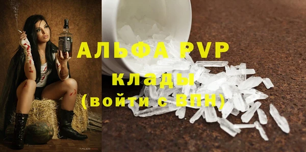прущие крисы Новозыбков