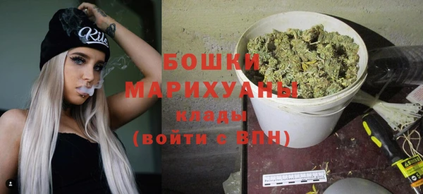 прущие крисы Новозыбков