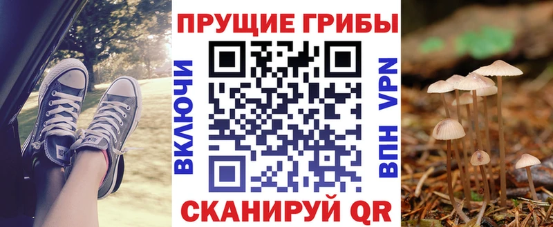 Псилоцибиновые грибы прущие грибы  Рославль 