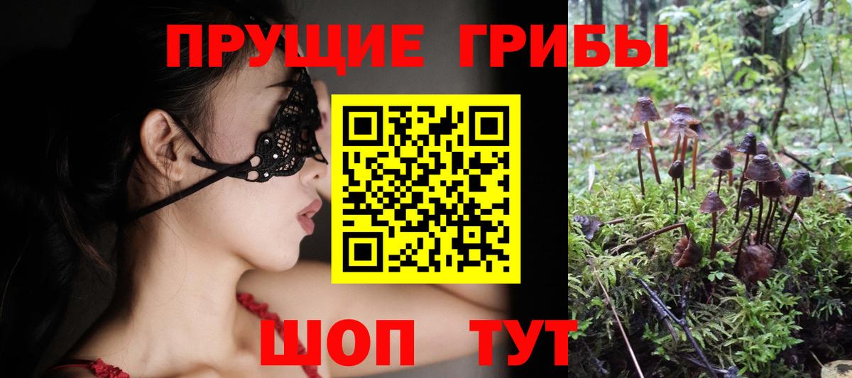 Рославль  Псилоцибиновые грибы мухоморы  Вход с VPN 